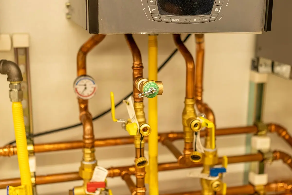 Licensed technician providing Sump Pump Repair for a homeowner in Cotati